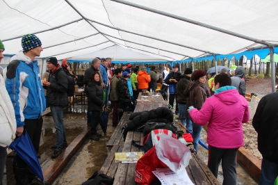Adventni tek 2014